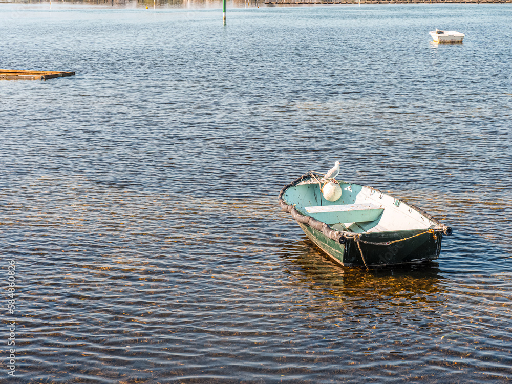 Naklejka premium Perched On Boat