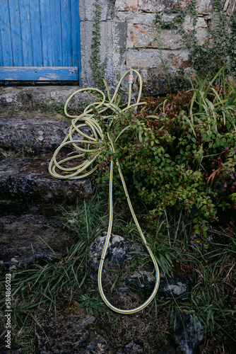 hose pipe  in garden in Brittany France photo