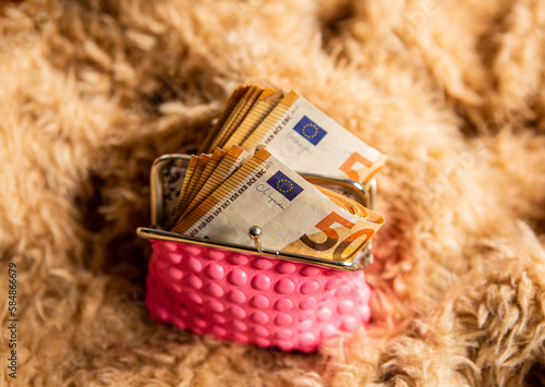 detail of bundles of 50 euro notes.  photo