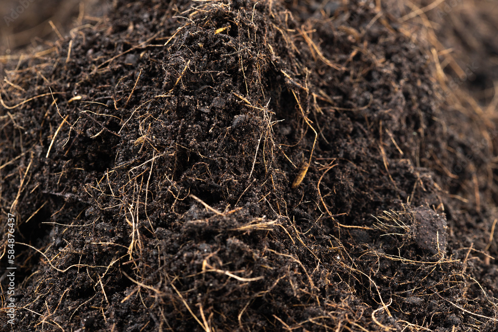 Black Fertilize Soil ready to planting, good organic soils with root for garden farming, pile set texture detail of soil with roots dust dirty. close up selective focus over White background Isolated Black Fertilize Soil ready to planting, good organic soils with root for garden farming, pile set texture detail of soil with roots dust dirty. close up selective focus over White background Isolated
