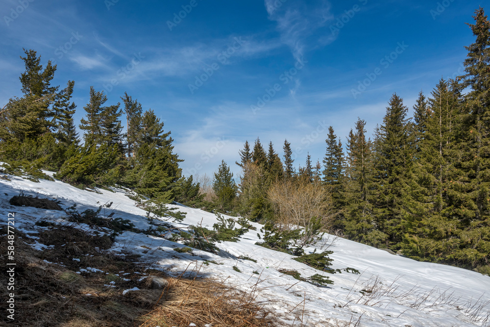 Winter landscape of Vitosha Mountain, Bulgaria Winter landscape of Vitosha Mountain, Bulgaria