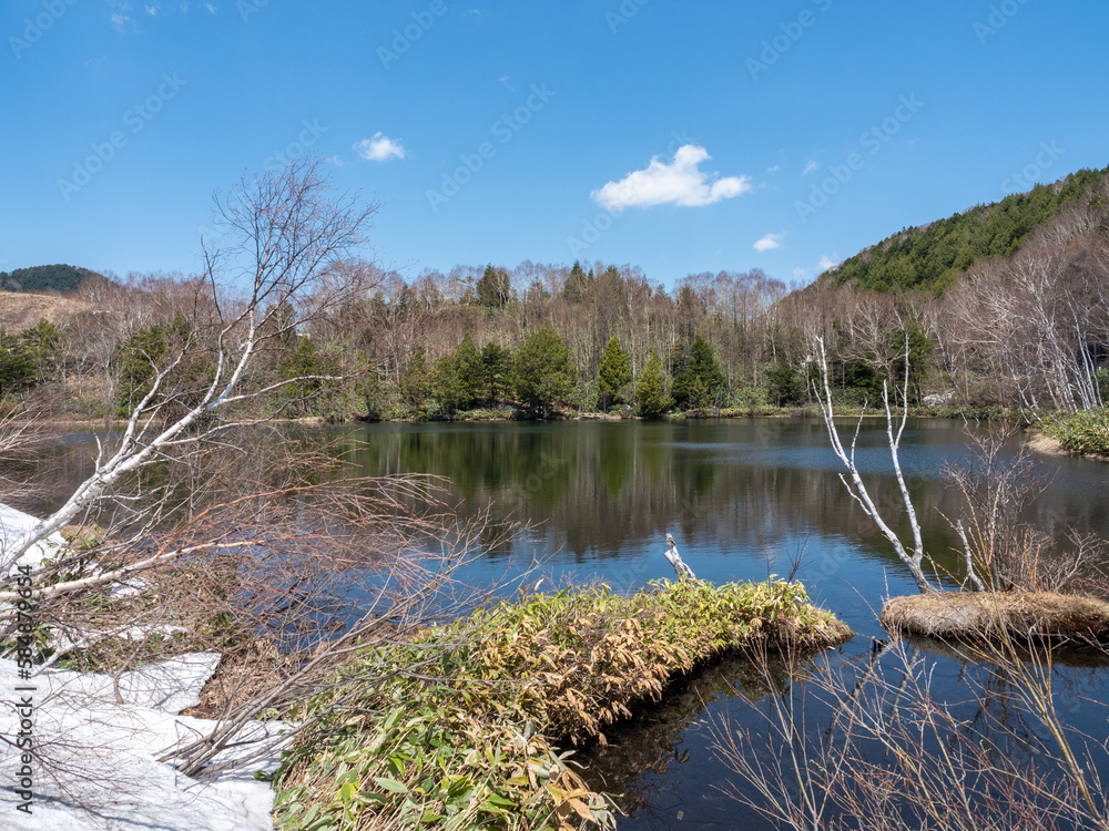 晴れた日の木戸池