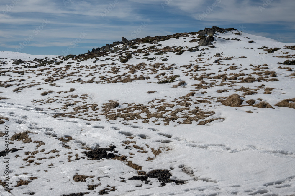 Obraz premium Winter landscape of Vitosha Mountain, Bulgaria