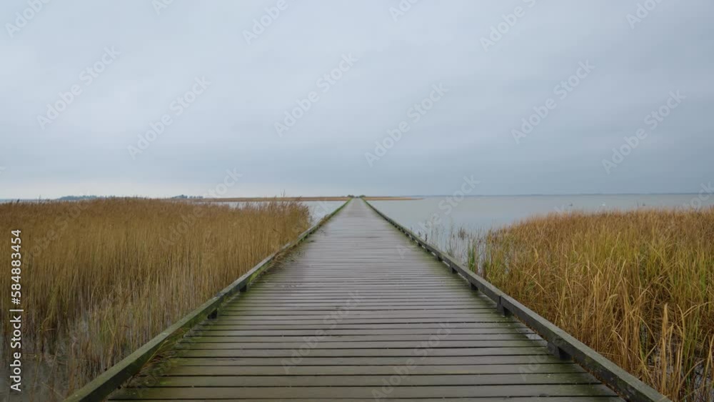 2022 - Wind rustles tall grass surrounding a bridge to Hindo, Denmark. 2022 - Wind rustles tall grass surrounding a bridge to Hindo, Denmark.