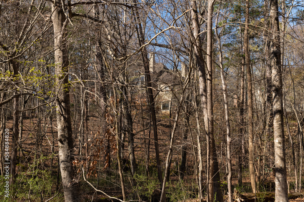 Hidden mansion tucked into the woods on Mallard Creek Greenway, part of the Cross-Charlotte Trail. Real estate and home ownership concept. Hidden mansion tucked into the woods on Mallard Creek Greenway, part of the Cross-Charlotte Trail. Real estate and home ownership concept.