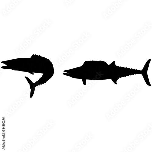 Wahoo fish silhouette
