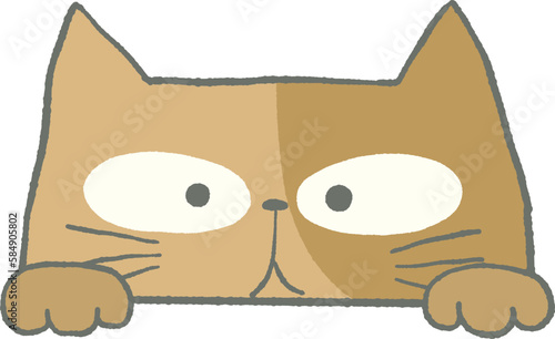 のぞくかわいいねこのイラスト