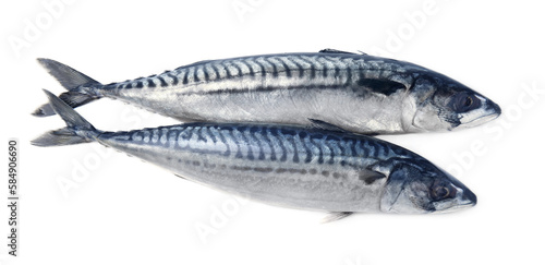 Two tasty raw mackerels isolated on white