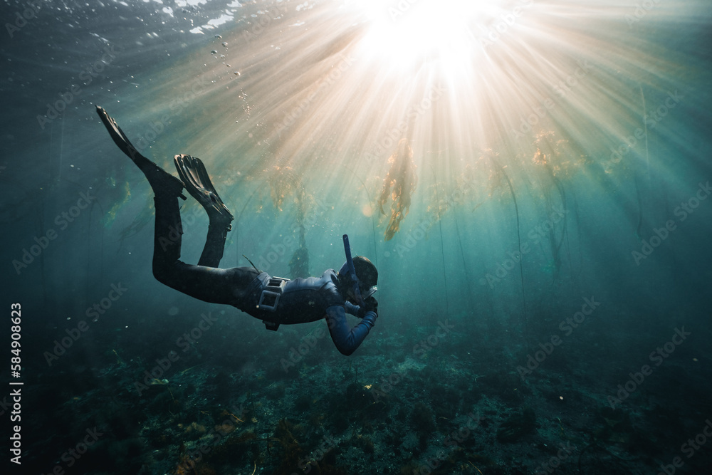 submerged submerged