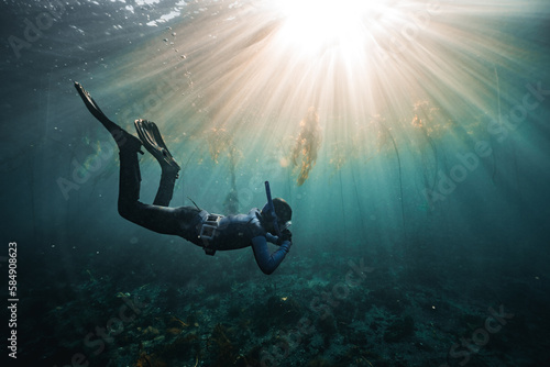 Wallpaper Mural submerged Torontodigital.ca