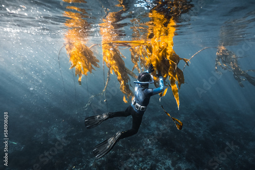 underwater foraging photo