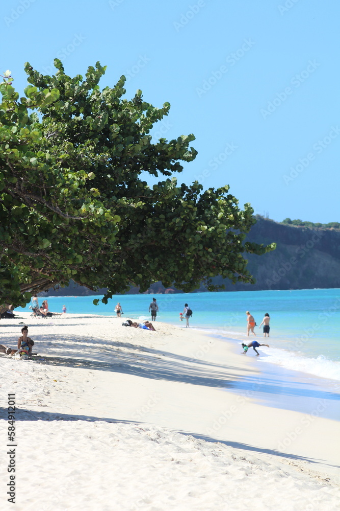 Fototapeta premium Grenada Tropical Beach