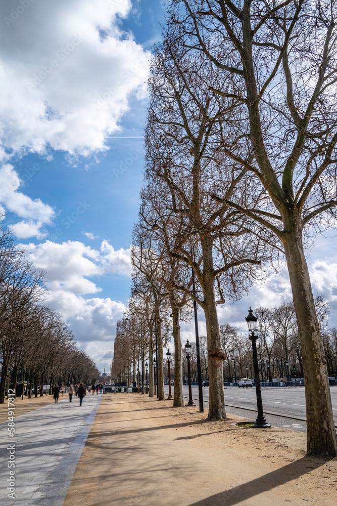 Footpath with tall trees on the Promenade du Cours La Reine in Paris Footpath with tall trees on the Promenade du Cours La Reine in Paris