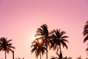 Palm Trees During Pink Sky Sunset