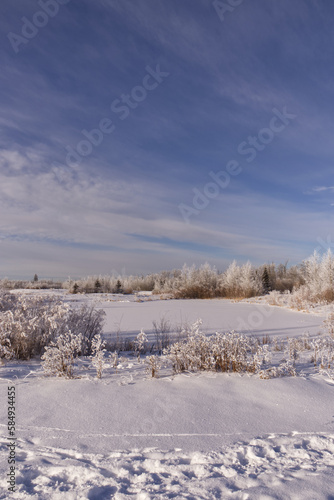 Pylypow Wetlands in the Winter