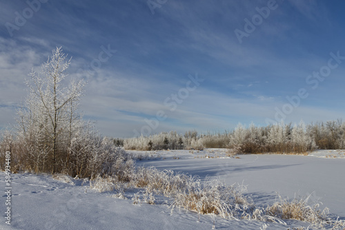 Pylypow Wetlands in the Winter © RiMa Photography