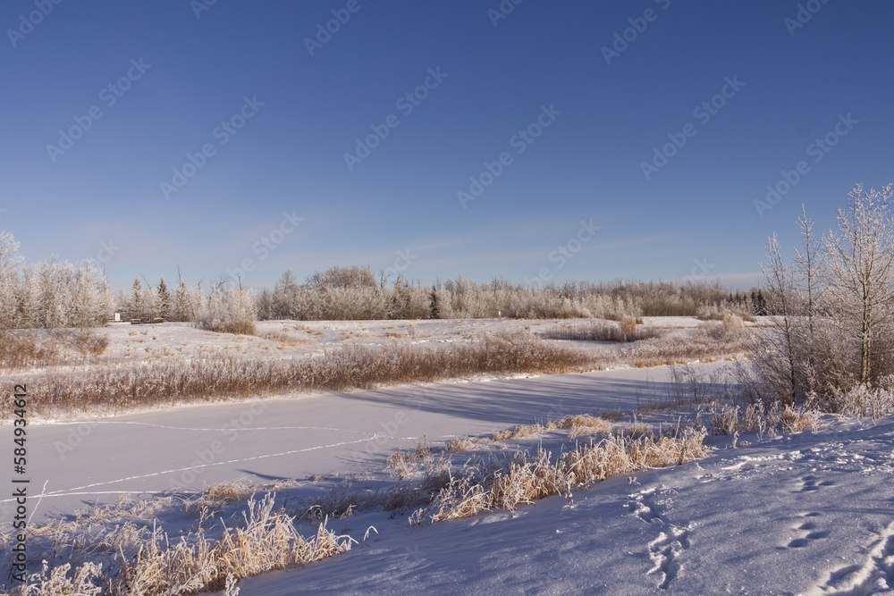 Pylypow Wetlands in the Winter