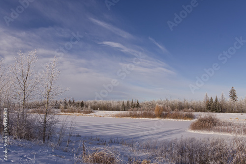 Pylypow Wetlands in the Winter