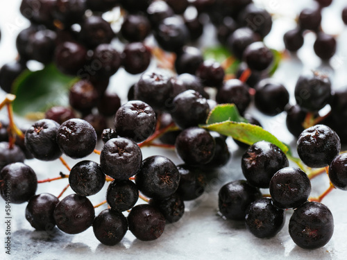 Purple chokeberries photo