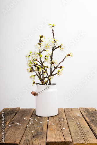 Fototapeta Naklejka Na Ścianę i Meble -  blossoming cherry flower branch at milk canister, old weathered wood table, white wall background