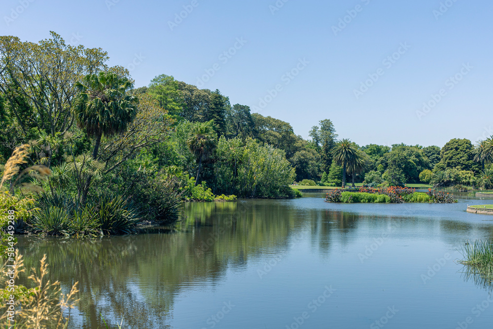 Fototapeta premium lake in the park