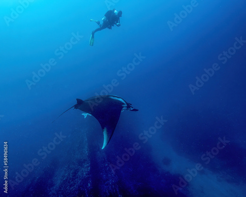 A Single Scuba Diver Swims Over a Massive Manta Ray at Socorros Island of the Revillagigedo Archipelago of Mexico