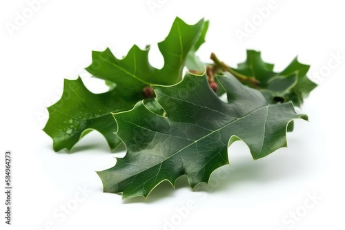 green oak leaves