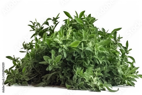 bunch of fresh herbs
