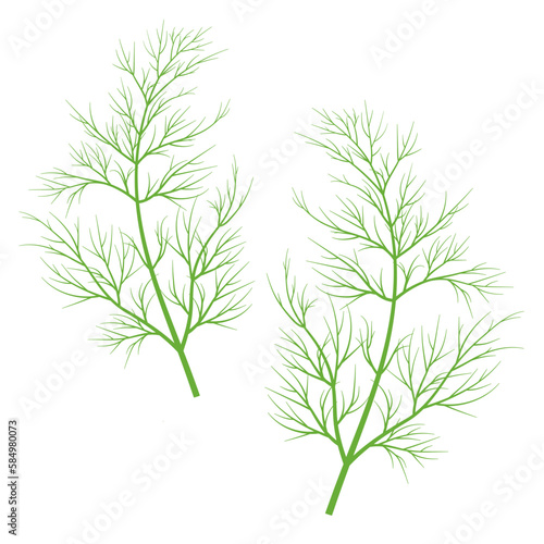 Illustration of a sprig of green dill isolated on a white background  macro. For printing and website design  vector icon.