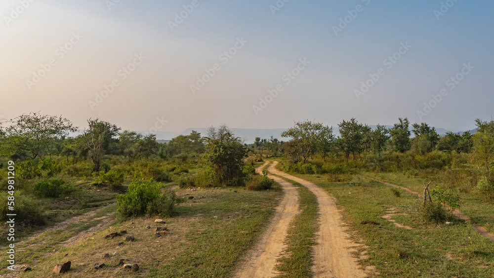 The safari road winds through the jungle. Ruts are visible on the ground. On the roadsides there is green grass, bushes, trees. A mountain range against the sky in the distance. India. Sariska 