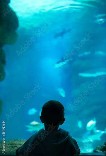Canvas Print The boy watches the fish in the aquarium.