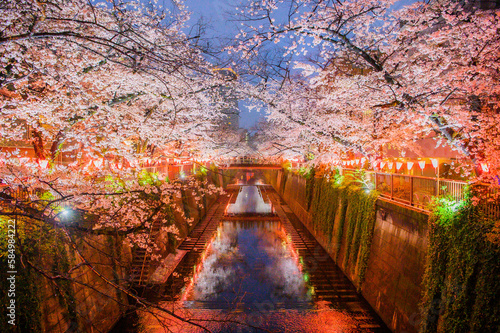 目黒川 桜のライトアップ