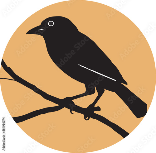 A bird on a branch
