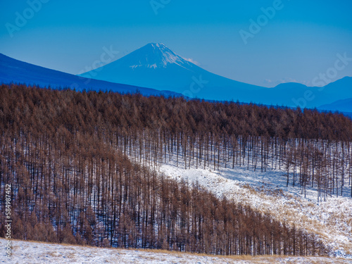 蓼科高原から望む富士