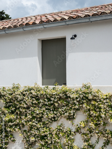 White provencal house with plants photo