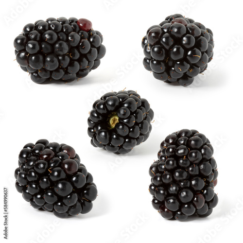 Five blackberries close-up on a white background. Full depth of field. With clipping path