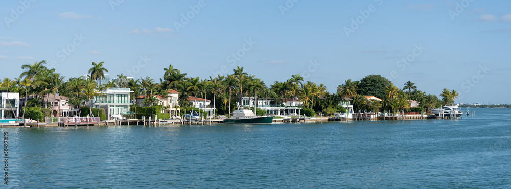 Fototapeta premium summer skyline landscape with palm trees and architecture