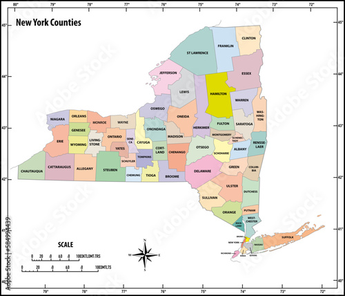 new york state outline administrative and political vector map in color