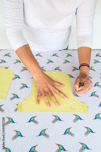 Woman drawing casts on a canvas of hummingbirds photo