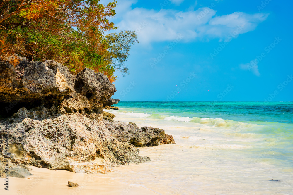 The refreshing sea breeze during Zanzibar beach summers is a welcome respite from the heat. The refreshing sea breeze during Zanzibar beach summers is a welcome respite from the heat.