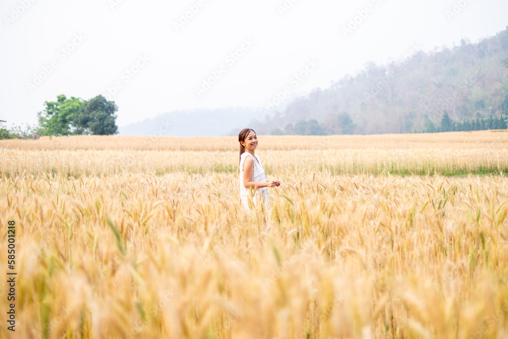 Young Asian women in white dresses walking in the Barley rice field season golden color of the wheat plant at Chiang Mai Thailand Young Asian women in white dresses walking in the Barley rice field season golden color of the wheat plant at Chiang Mai Thailand
