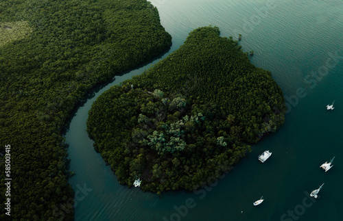Winding river mangroves