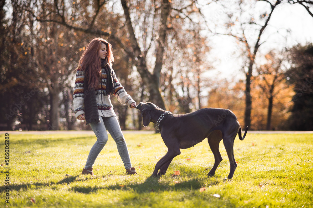 Smiling woman playing with dog and wood stick Smiling woman playing with dog and wood stick