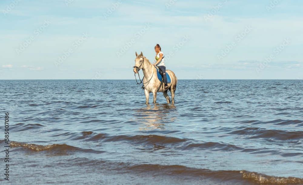 A young woman is sitting astride a horse. Selective focus. Horse in the water