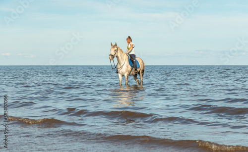 A young woman is sitting astride a horse. Selective focus. Horse in the water