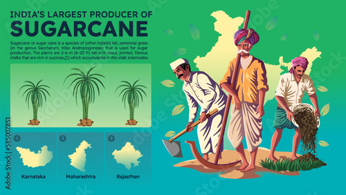 Visualizing India's Largest Sugarcane Producing States and Their Farmers - Vector Illustration