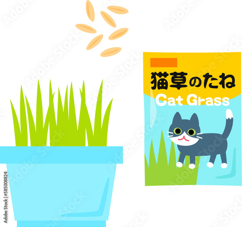 猫草の種と植木鉢で育てた猫草