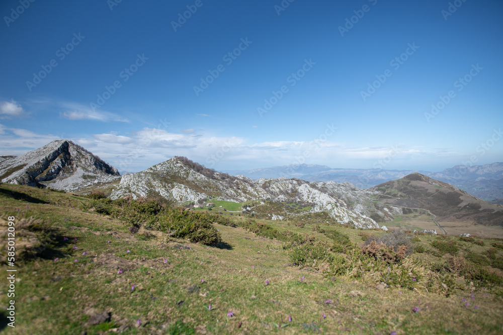 Bergsee Covadonga im Nationalpark Picos de Europa in Asturien in Nordspanien 