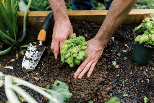 Millennial man in vegetable garden in backyard