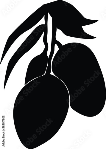 black and white mangos food fruit icon